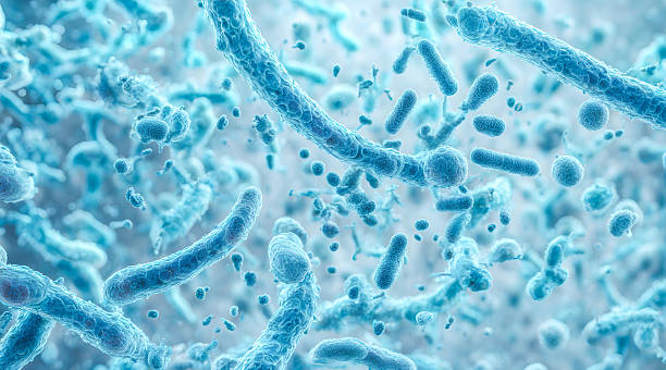 Antimicobial Coating